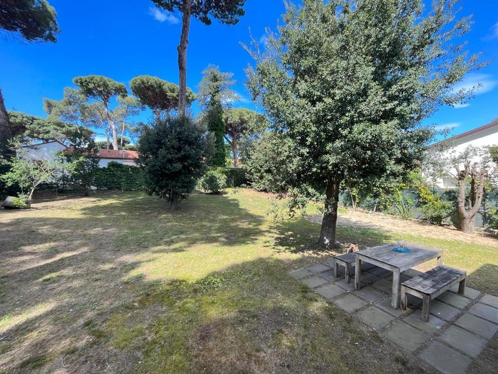 Pineta Apartament Tirrenia Exteriör bild