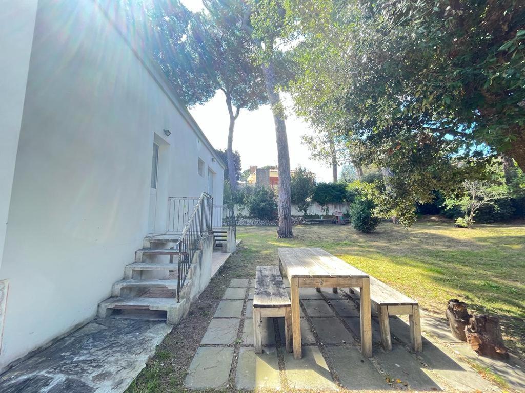 Pineta Apartament Tirrenia Exteriör bild