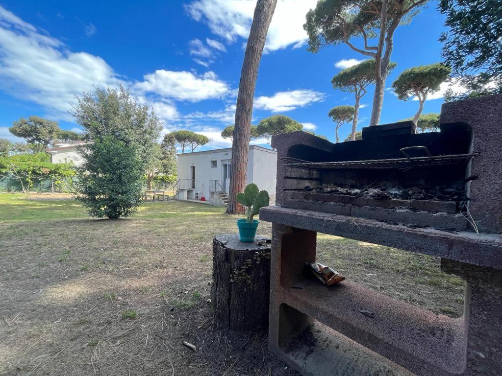 Pineta Apartament Tirrenia Exteriör bild