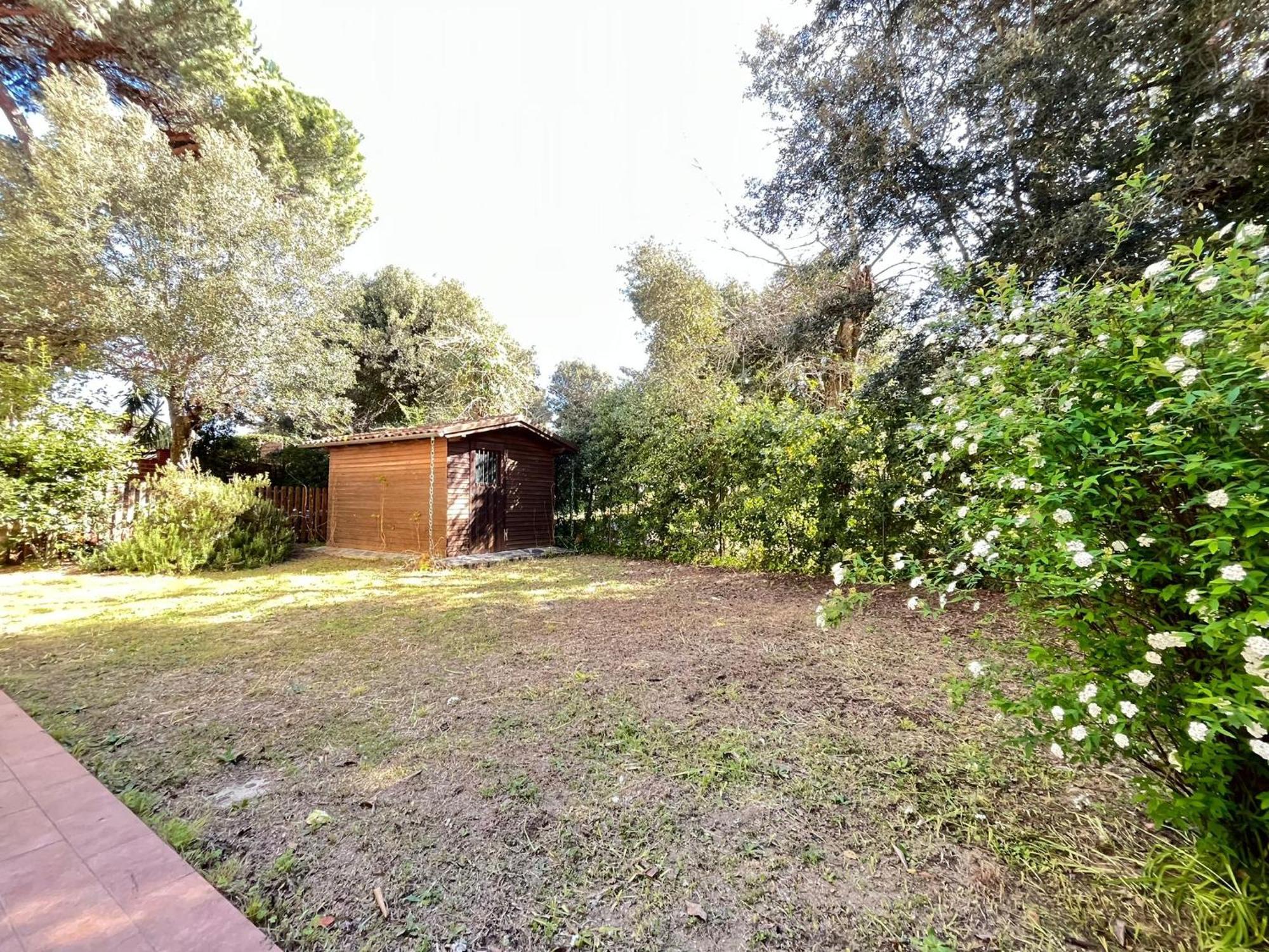 Pineta Apartament Tirrenia Rum bild